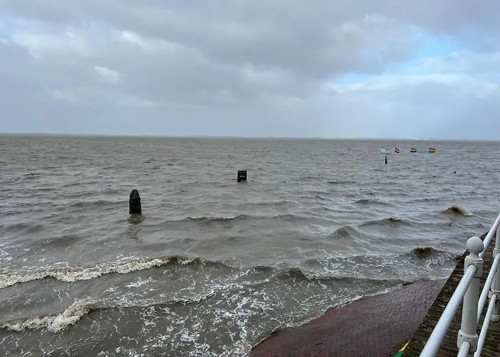 Lejlighed Plaga Varel